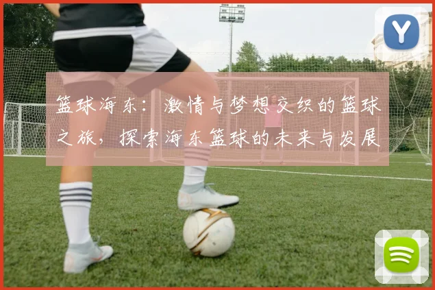 篮球海东：激情与梦想交织的篮球之旅，探索海东篮球的未来与发展