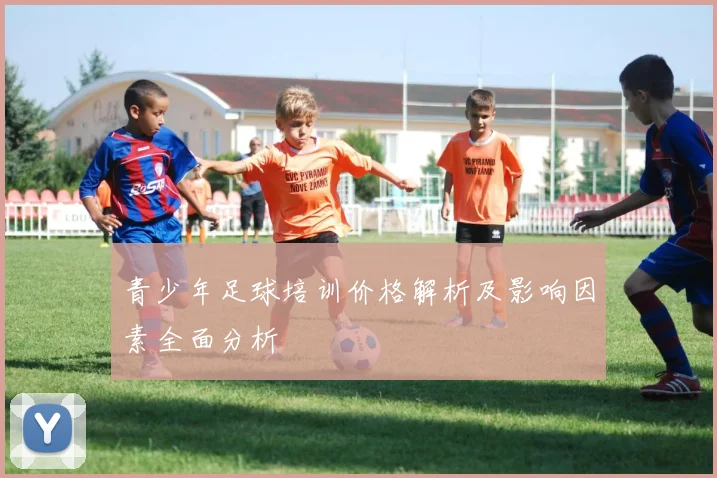 青少年足球培训价格解析及影响因素全面分析