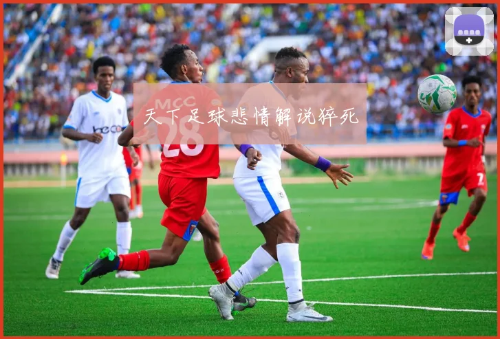 天下足球悲情解说猝死