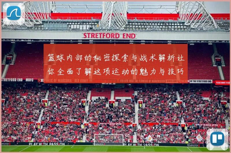 篮球内部的秘密探索与战术解析让你全面了解这项运动的魅力与技巧