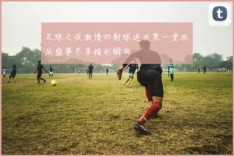 足球之夜激情四射球迷共聚一堂欢庆盛事尽享精彩瞬间